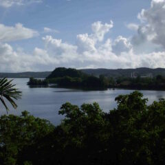 【高品質ノニのふるさと】パラオ共和国の話