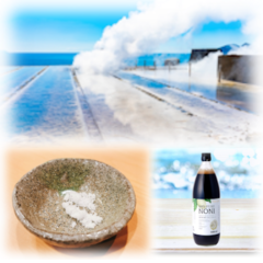 【塩とノニ】ノニジュースはミネラルバランス飲料