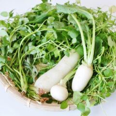 【野菜の重要性】ベジパウダーで野菜・ハーブを摂取