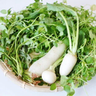 【野菜の重要性】ベジパウダーで野菜・ハーブを摂取