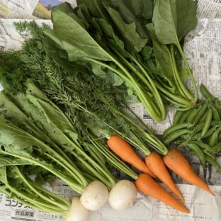 【有機野菜の持つ酵素】ノニサプリは酵素が活きている