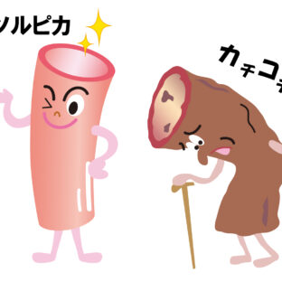 【人は血管と共に老いる】ノニジュースで血管を健康元気に