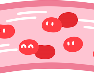 【血流を良くしてすべてを改善】ノニジュースで元気な血管に元気な血流