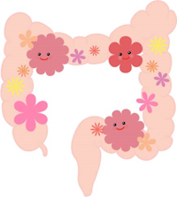 【腸活なくして健康なし】腸のクリーニングに必要な栄養素はノニジュースに