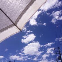 ノニジュースで酷暑を乗り切る