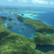 パラオでのノニ