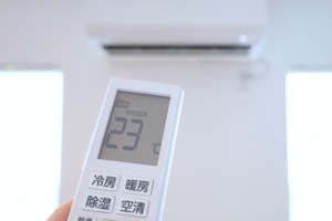 ノニジュースで夏バテ対策