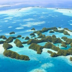 産地で選ぶノニジュース